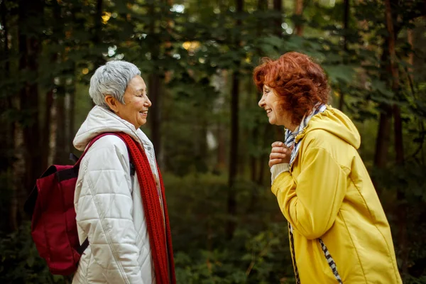 Livsstil Känslor Och Kvinnlig Vänskap Koncept Glada Pensionärer Kvinnliga Vänner — Stockfoto