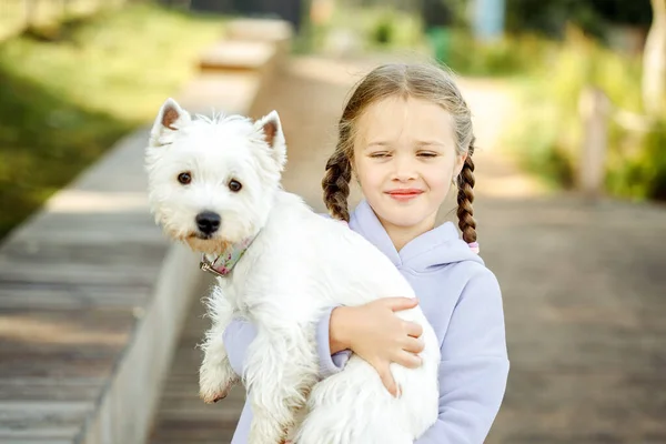 Girl Pigtails Holds Small White Dog Her Arms Smiles Happily — Stock Photo, Image