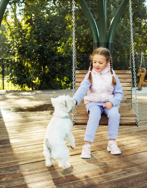 7歳の女の子がスイングにスイングし 夏の公園で犬と遊ぶ ライフスタイルコンセプト — ストック写真