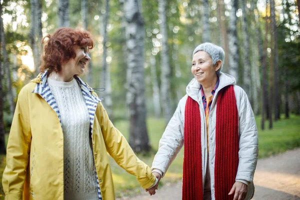 Cheerful pensioner female friends tallking and laughing in the autumn park. Lifestyle and old people concept.
