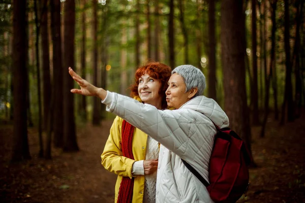 Χαρούμενες Συνταξιούχες Φίλες Μιλάνε Και Γελούν Στο Φθινοπωρινό Πάρκο Έννοια — Φωτογραφία Αρχείου