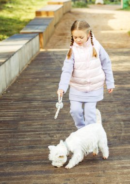 At kuyruklu küçük bir kız küçük beyaz bir köpekle oynuyor ve mutlu bir şekilde gülümsüyor. Sonbahar parkı. Yaşam tarzı kavramı.