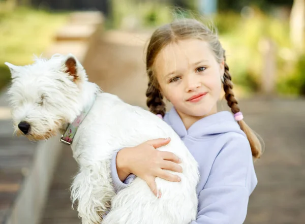 Ein Kleines Mädchen Mit Zöpfen Hält Einen Kleinen Weißen Hund — Stockfoto