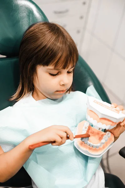 Child Girl Doctor Clinic Holding Dental Jaw Brush Teeth Her — Stock Photo, Image