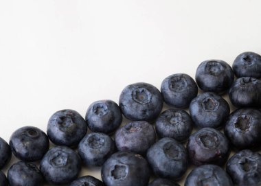 Beyaz arka planda yabanmersini ve nane şekeri. Kapat..
