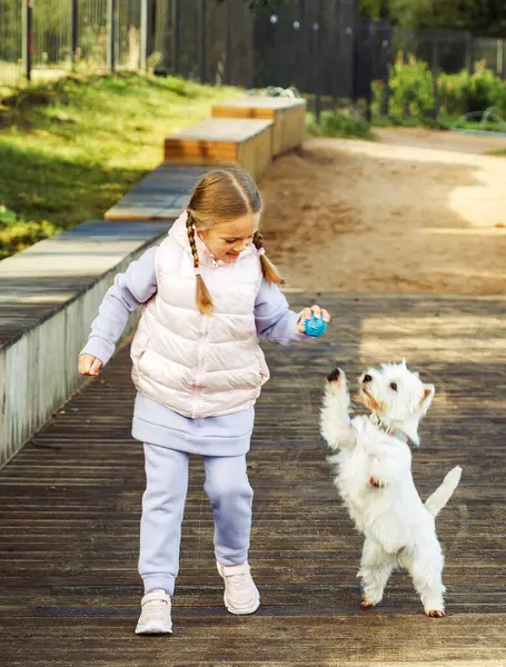 Jähriges Blondes Mädchen Spielt Mit Ihrem Weißen Welpen Herbstpark Lifestylekonzept — Stockfoto