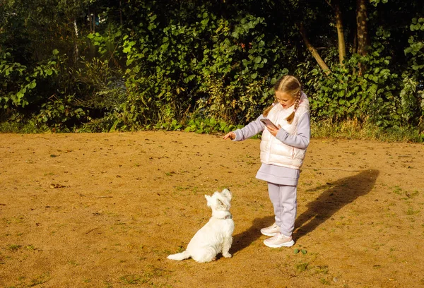 Ein Siebenjähriges Mädchen Spielt Mit Einem Weißen Hund Strand Und — Stockfoto