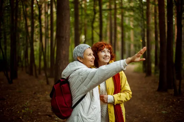 Multiracionális Öregasszonyok Akiknek Napjuk Van Erdőben Életmód Emberek Női Barátság — Stock Fotó