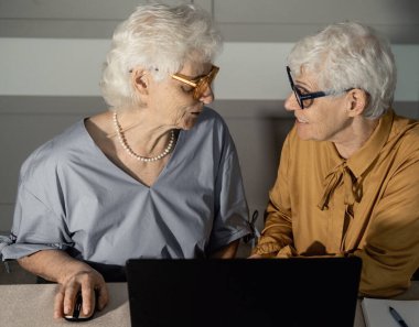 İki yaşlı kız kardeş evde internet okuyor. Yaşlılar için modern teknolojiler. Bilgisayar dersleri. Altın Çağ.