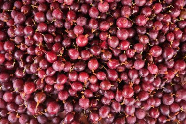 Bir yığın kırmızı kaz çileği.