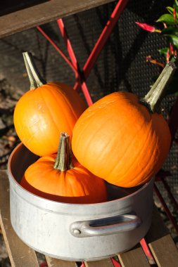 Çelik bir tencerede üç balkabağı