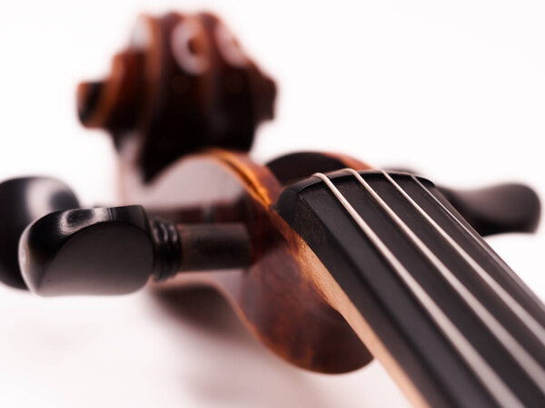 Деталь скрипки на белом фоне