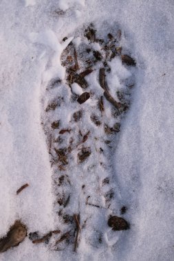 Karda ayak izi.