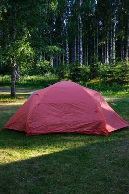 Yaz aylarında ormanda kamp