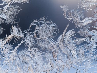 bir pencere üzerinde buz çiçekleri