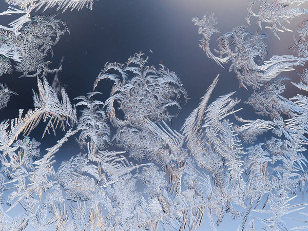 Цветы льда на окне
