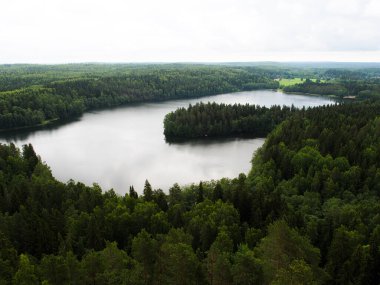 Finlandiya 'da yukarıdan bir göl