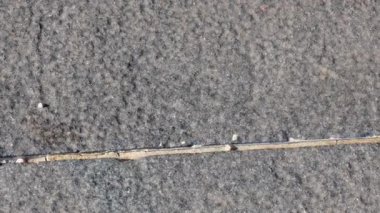 Su damlaları yere düşüyor