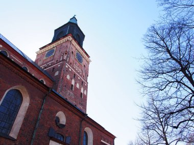 Turku Katedrali ve ağaçlar