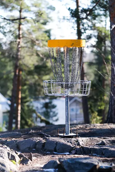 Disk golf sepeti dışarıda, ormanda.