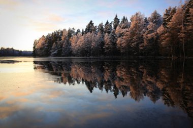 Kışın göl manzarası
