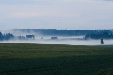 Kırsal alanda puslu bir manzara