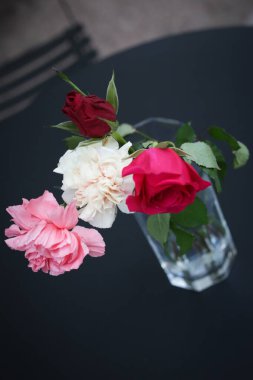 Cam vazoda farklı güller