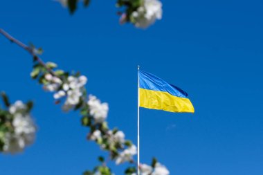 Güneşli bir günde Ukrayna bayrağı