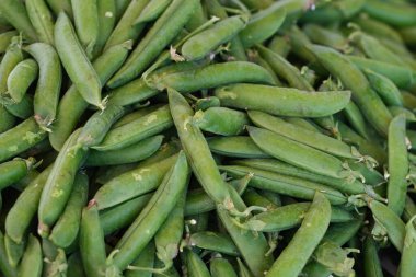 Kabuklu bezelye yığını