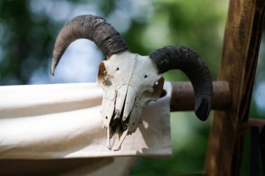 Ahşap bir yapıda bir koç kafatası.