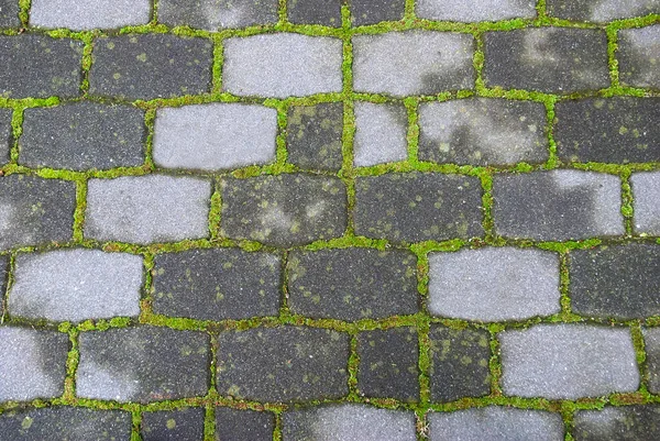 Background Stone Bricks Texture Moss — Stock Photo, Image