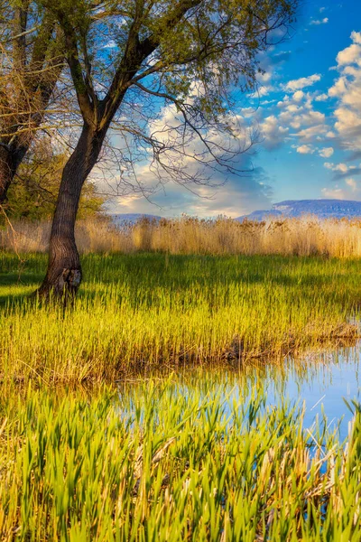 Яскравий Захід Сонця Над Озером Балатон Угорщині Удалечині Силуети Вулканічних — стокове фото