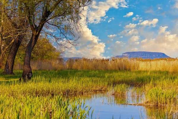 Pôr Sol Colorido Sobre Lago Balaton Hungria Longe Estão Silhuetas — Fotografia de Stock