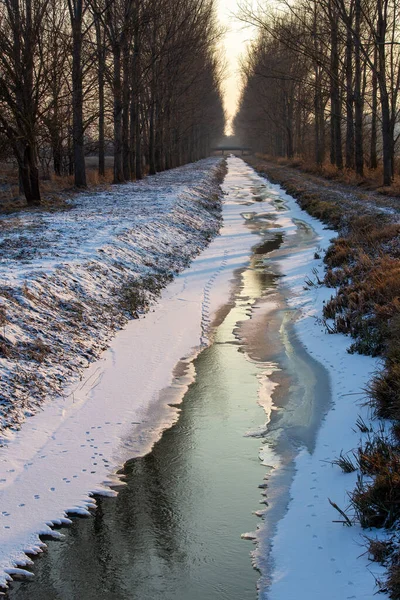 Kış Harikalar Diyarı Görkemli Ağaçlarla Çevrili Donmuş Nehir Stok Fotoğraf