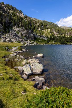 La Cerdanya 'da yaz manzarası, Pirenes Dağı, Katalonya, İspanya.