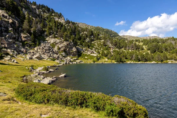 Summer Landscape Cerdanya Pyrenees Mountain Catalonia Spain — Stock Photo, Image