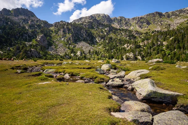 Kleine Kreek Cerdanya Pyreneeën Catalonië Spanje — Stockfoto