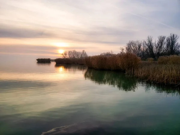 Ηλιοβασίλεμα Στο Καλάμι Στη Λίμνη Μπάλατον Της Ουγγαρίας — Φωτογραφία Αρχείου