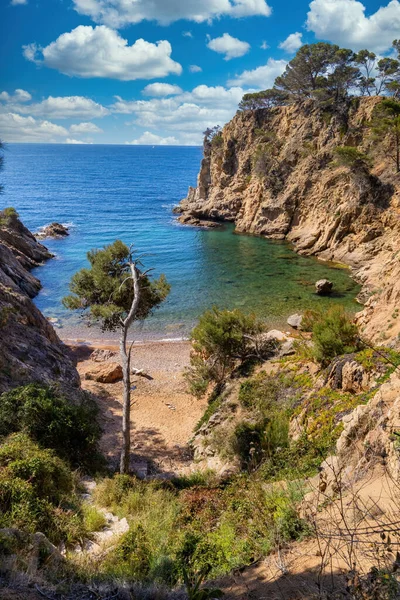 Natura Najlepszym Wydaniu Zapierające Dech Piersiach Widoki Góry Costa Brava — Zdjęcie stockowe