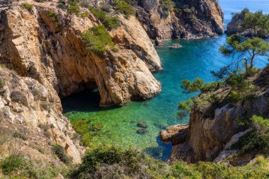 Doğa tüm ihtişamıyla: duyular için bir deneyim. Costa Brava, İspanya 'nın küçük Palamos kasabası yakınlarında.