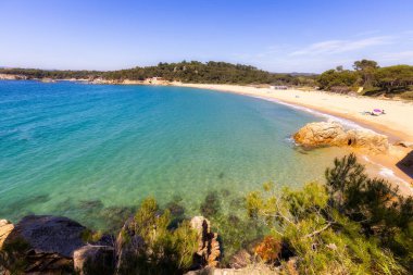 Doğa tüm ihtişamıyla: duyular için bir deneyim. Costa Brava, İspanya 'nın küçük Palamos kasabası yakınlarında.