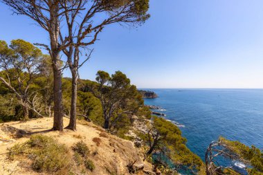 Doğa tüm ihtişamıyla: duyular için bir deneyim. Costa Brava, İspanya 'nın küçük Palamos kasabası yakınlarında.