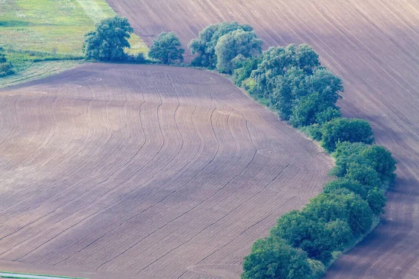 Ladang Yang Baru Ditanam Dengan Deretan Pohon Yang Indah — Stok Foto