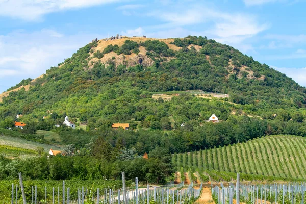 Jordbrukslandskap Från Ungern Berget Csobanc — Stockfoto