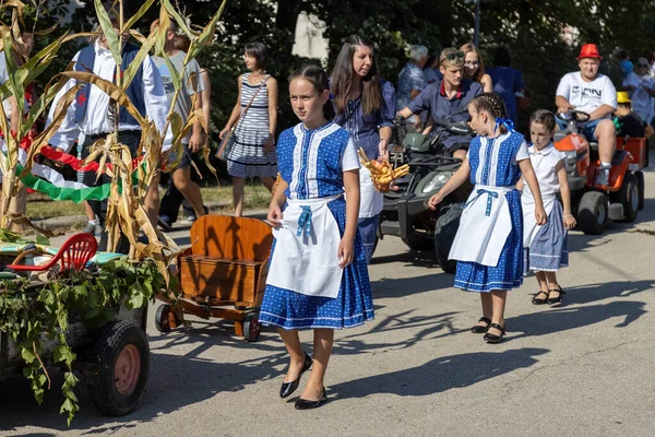 Desfile Tradicional Húngaro Cosecha Septiembre 2023 Aldea Tapolca Diszel Hungría —  Fotos de Stock