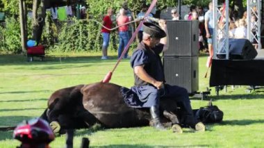 Macaristan - 16 Eylül 2023: Macar çobanlar kırbaçla geleneksel kıyafetler giyiyorlar. Hasat Festivali, folklor ve kültür tarihi açısından zengin. Tapolca-Diszel Köyü