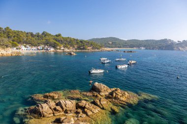 Palamos 'taki S' Alguer Koyu, Costa Brava, Girona. İspanya