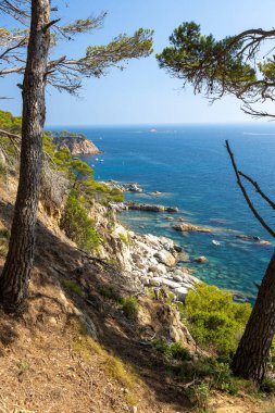 Palamos 'taki koy manzarası, Costa Brava, Girona. İspanya