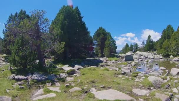 Літній Пейзаж Серданья Гора Піренеїв Каталонія Іспанія — стокове відео