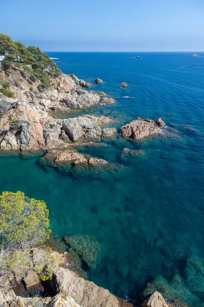 Palamos 'taki koy manzarası, Costa Brava, Girona. İspanya